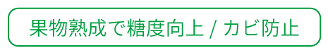 果物熟成で糖度向上