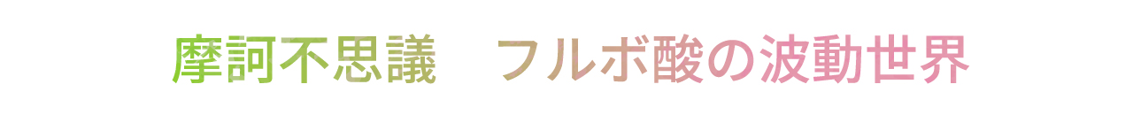 フルボ酸の波動世界